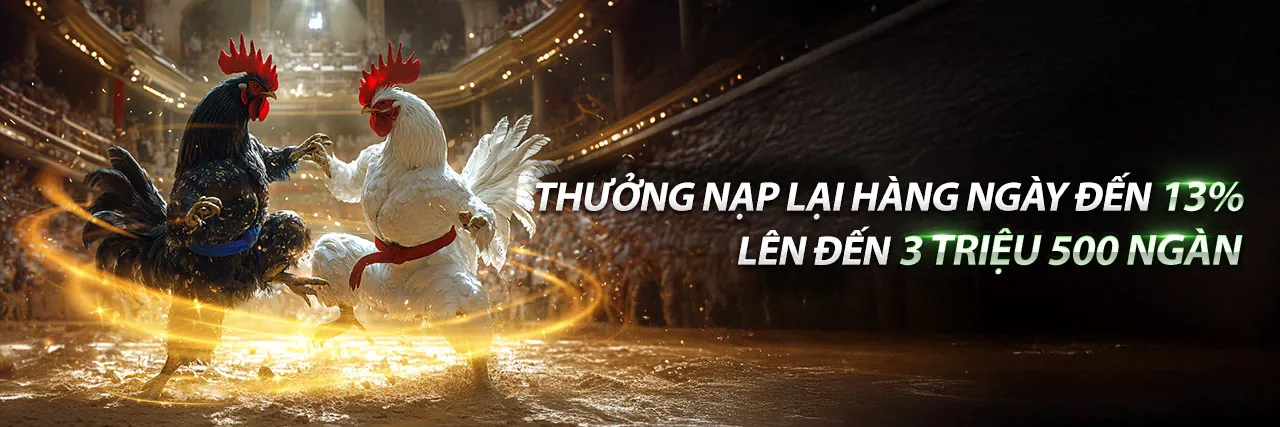 Đá gà trực tuyến ji88 với không khí sôi động